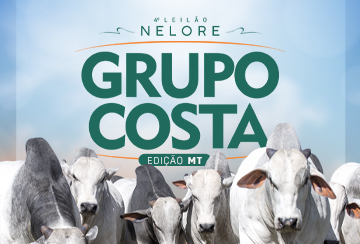 4º LEILÃO NELORE GRUPO COSTA - EDIÇÃO MT